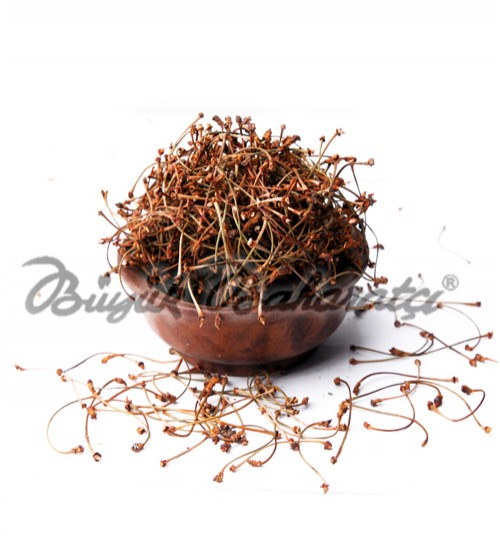Kiraz Sapı 15 gr